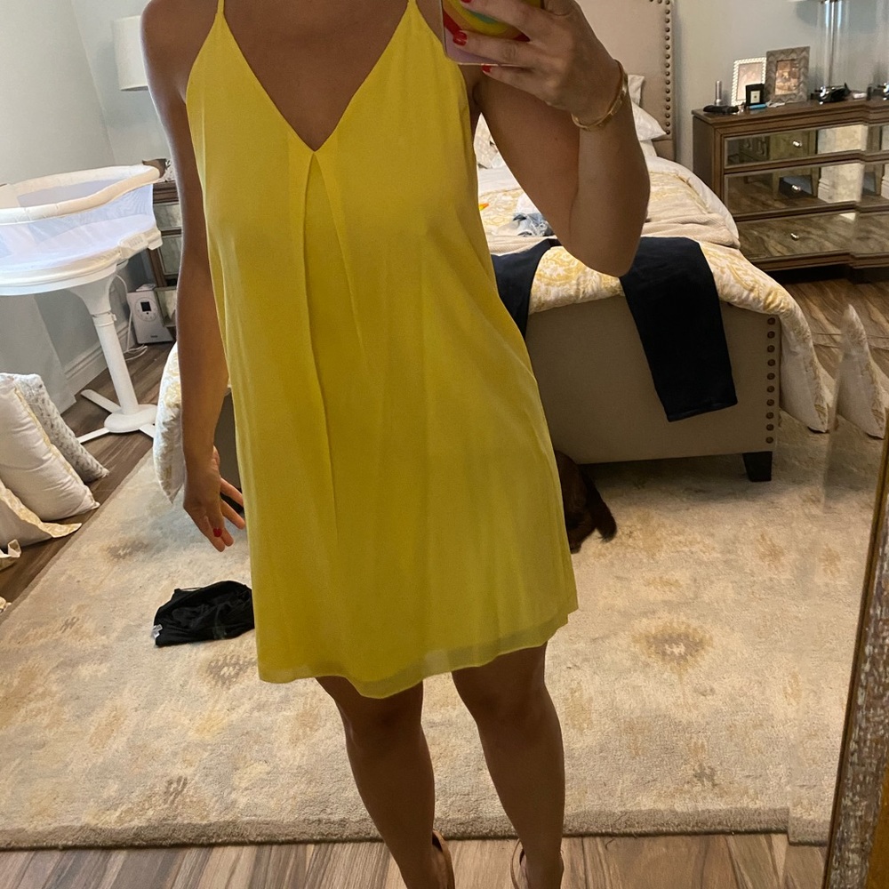 Alice and Olivia dress
